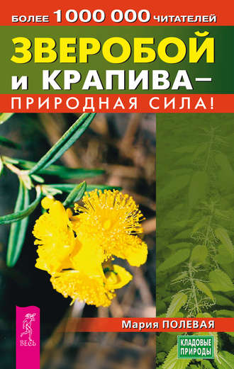 Мария Полевая, Зверобой и крапива – природная сила!